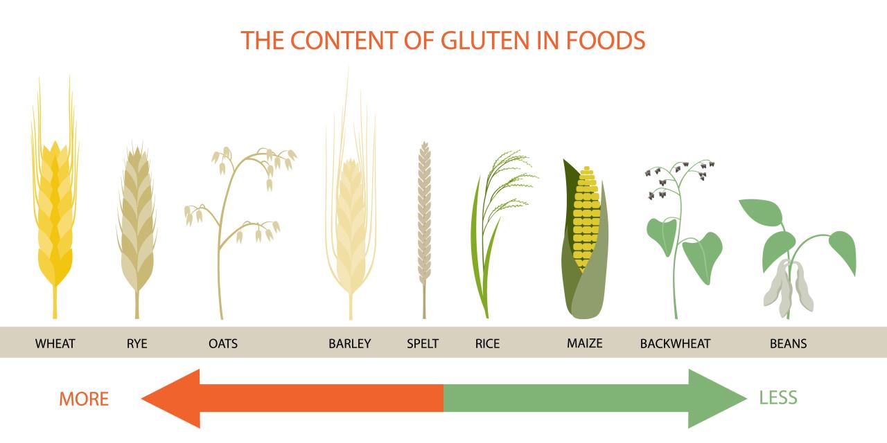 Gluten happens eat good when process