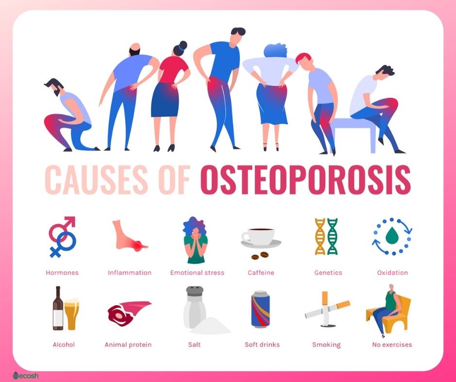 Risk osteoporosis factors facts bone health risks prevent fracture dexa know factor infographic lancaster ways learn prevention choose board