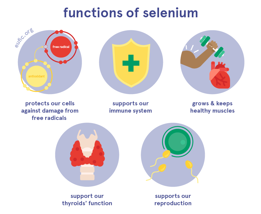 Berapa banyak selenium yang dibutuhkan tubuh setiap hari