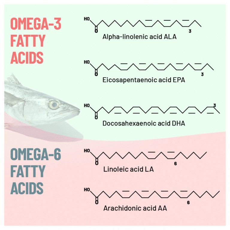 Sama sama penting apa bedanya omega 3 6 dan 9