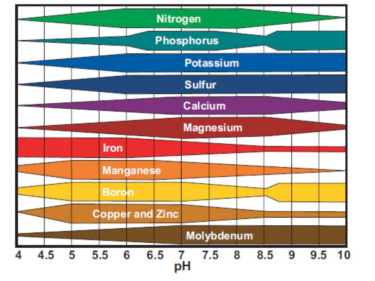 Mengenal molybdenum mineral mikro yang penting bagi tubuh