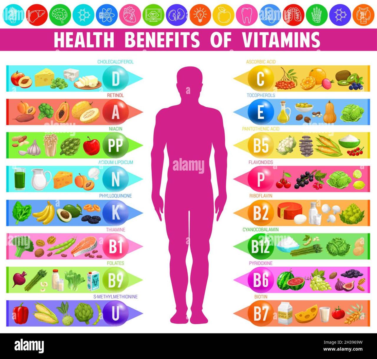 Vitamins minerals facts fun vitamin supplements mineral body fact health nutrition healthy nutrients nutritional interesting benefits supplement take some chart