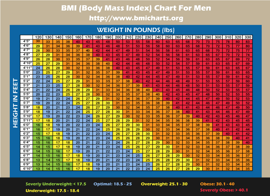 Bmi underweight calculate explained overweight obese