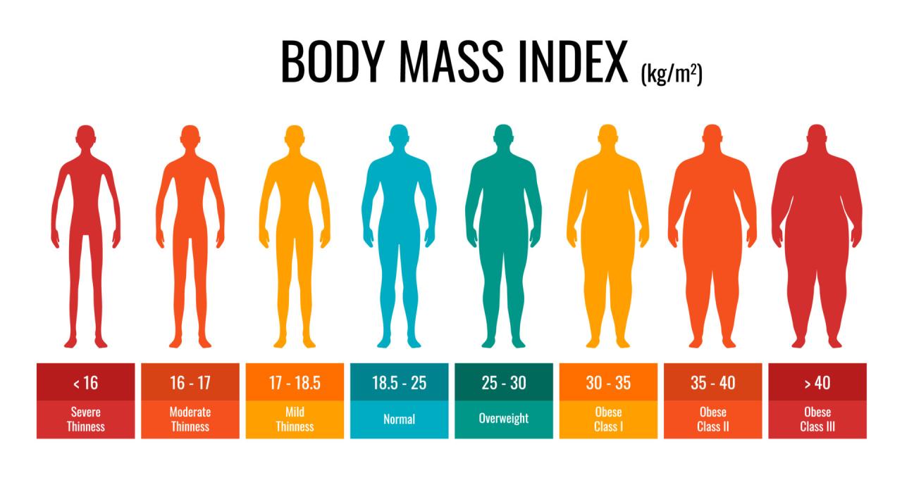 Bmi weight chart healthy macmillan support