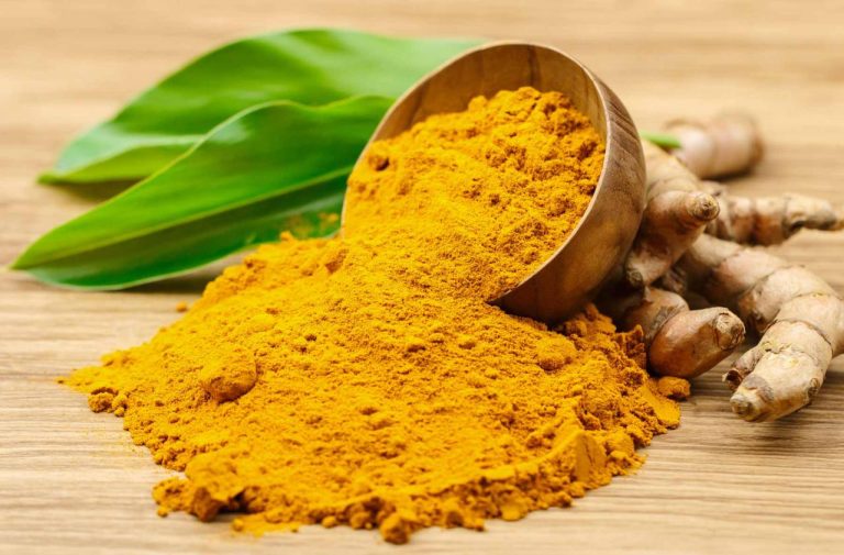 Turmeric medicinal tumeric curcumin afdhal apricot seeds