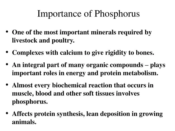 Phosphorus foods strengthen draxe detox supplements