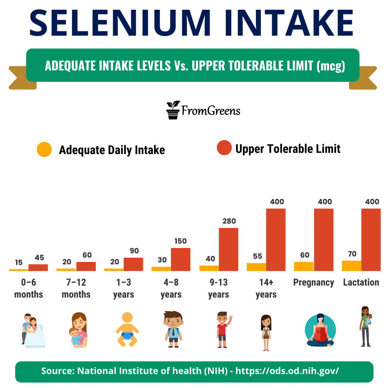 Selenium thyroid selen deficiency hashimoto thyroidpharmacist