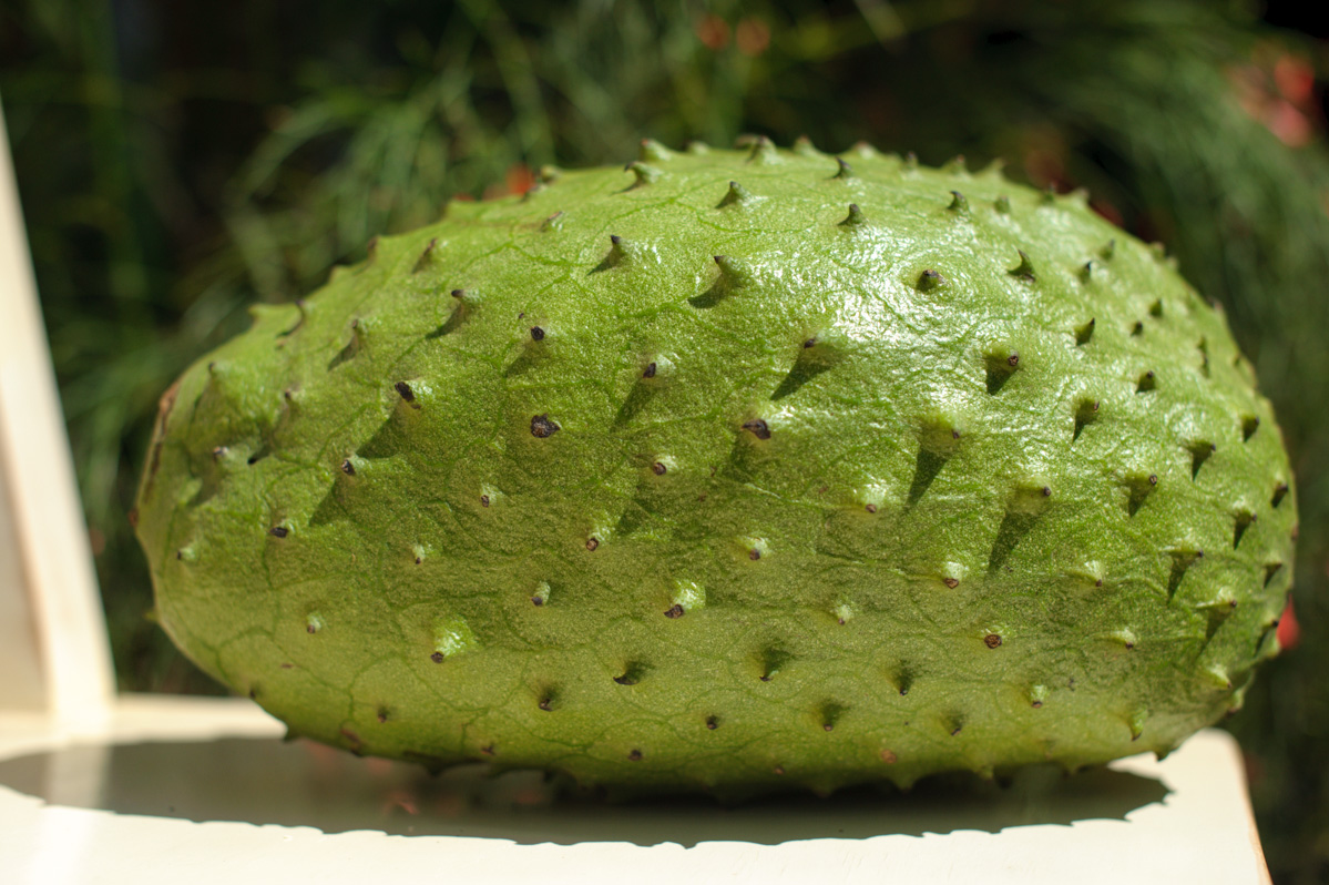 Soursop