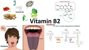 Apa yang terjadi jika tubuh kekurangan vitamin b2 riboflavin