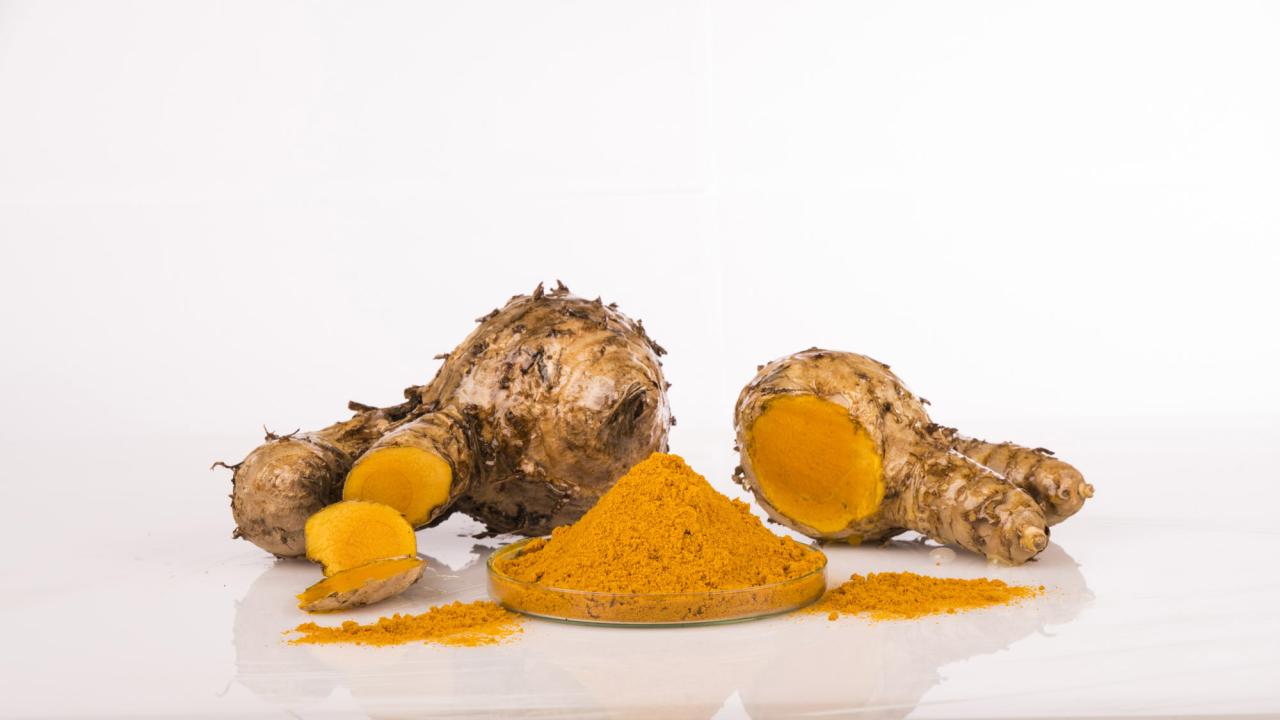 Curcuma xanthorrhiza extract penjelasan dan manfaat