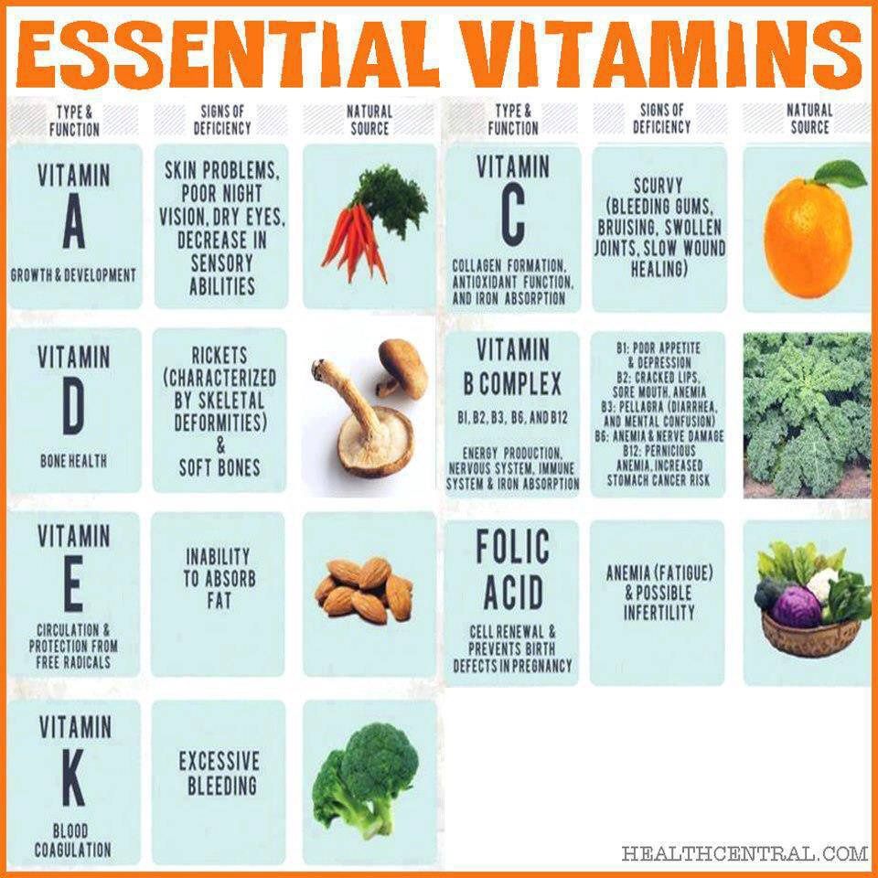 Daftar makanan yang mengandung vitamin a b c d e dan k