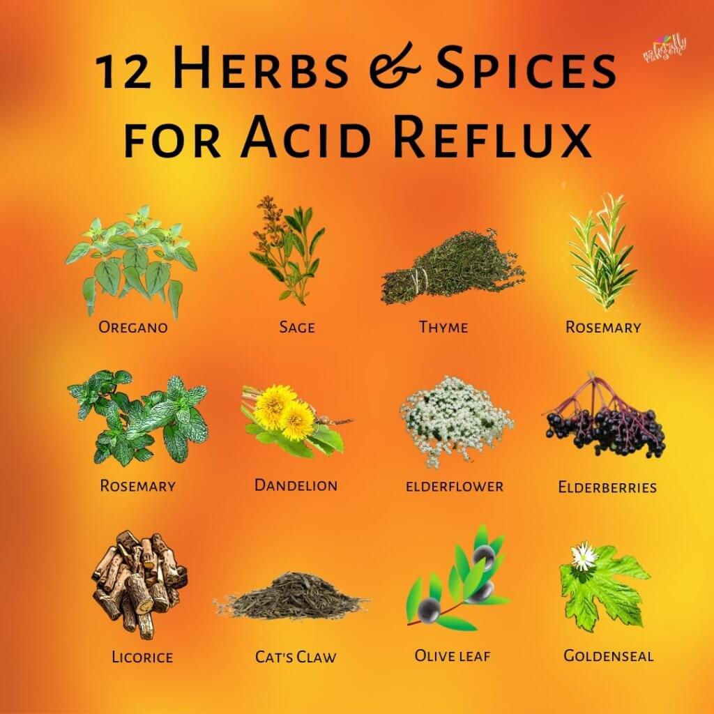 Gerd reflux ulcer gastritis disease remedies bland hernia hiatal esophagus diets heartburn meds alert weaken infections these barrett acidic lose