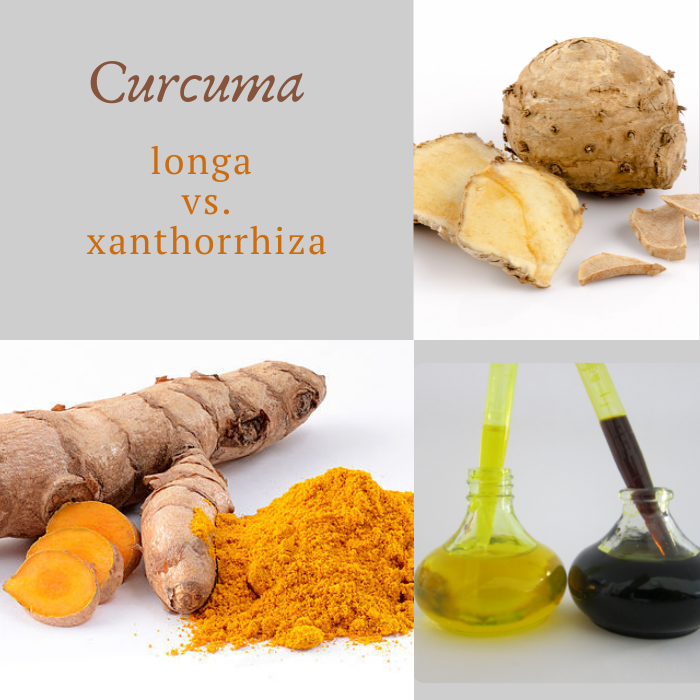 Curcuma