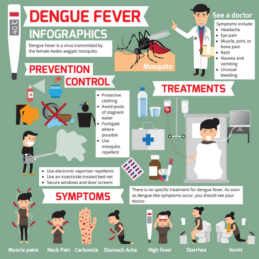 Dengue preventive measures byjus upsc