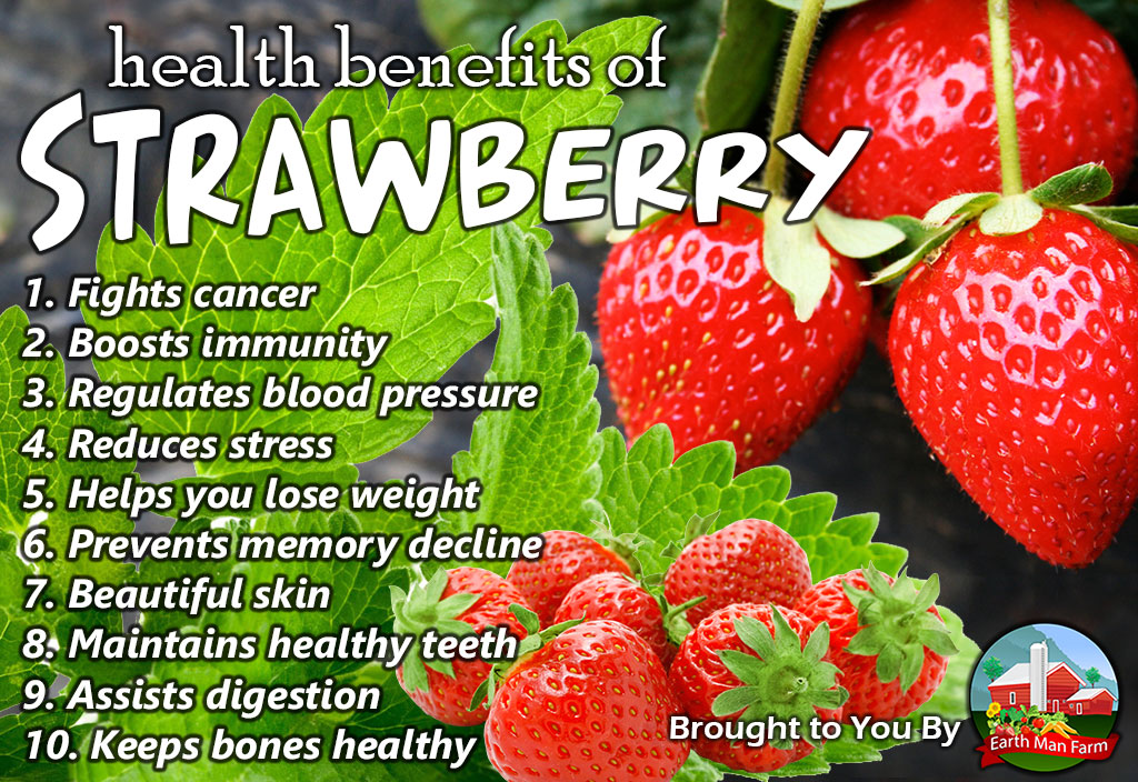 Strawberries benefits health infographic organic natural tips food disease delectable salads tasty desserts doesn fresh re they who just