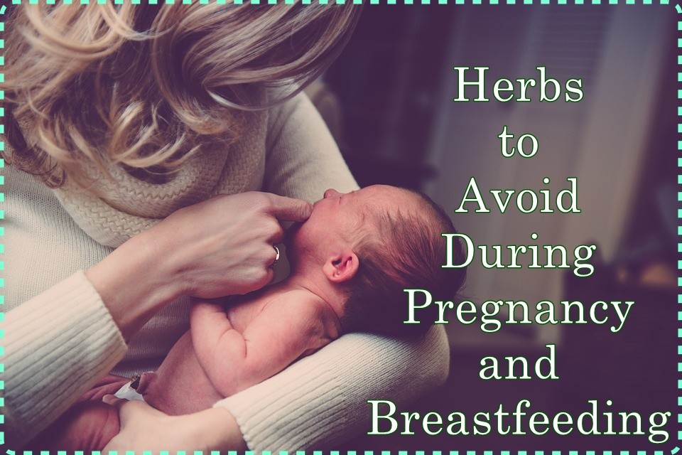 Breastfeeding herbs homestead