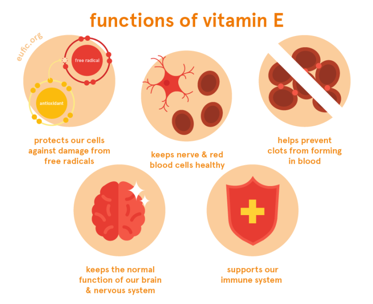 Inilah akibatnya jika tubuh kekurangan vitamin e