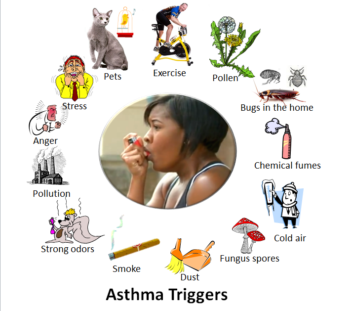 Allergies allergy allergic test allergen histamine test2