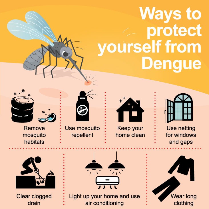 Dengue fever prevention charts diseases malaria their interested