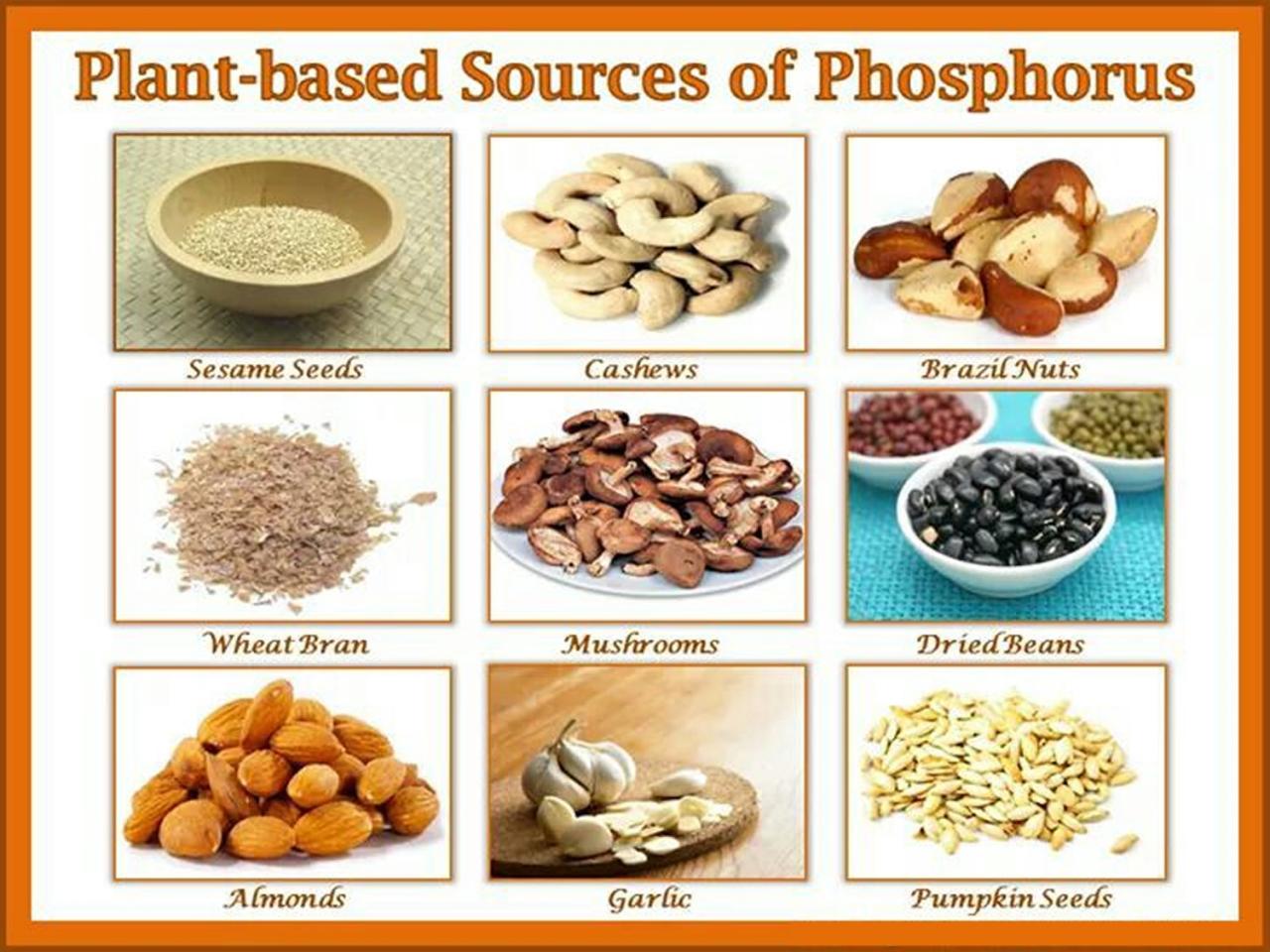 Phosphorus rich teeth