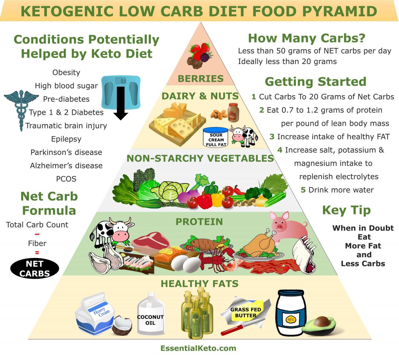 Diet keto untuk pemula mulai dari manfaat hingga risikonya