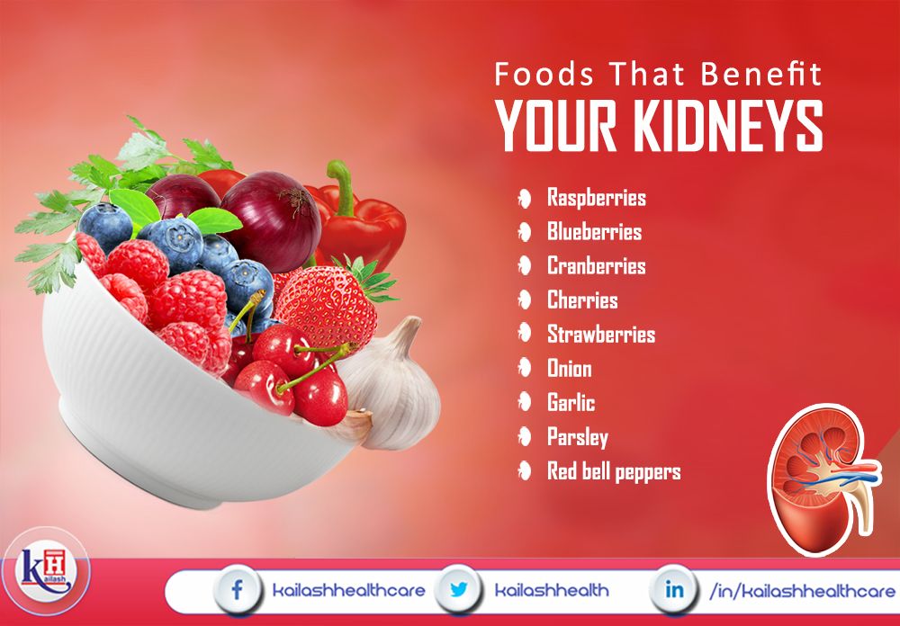 Kidney kidneys