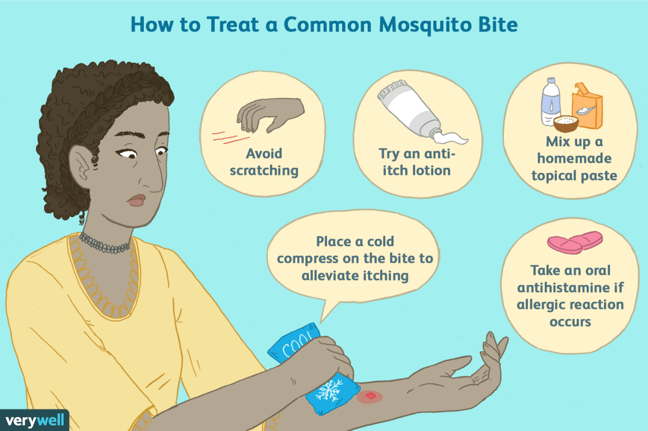 Mosquito prevent bites control water standing remove pest