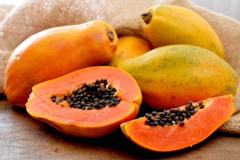 Pregnancy during papaya consume