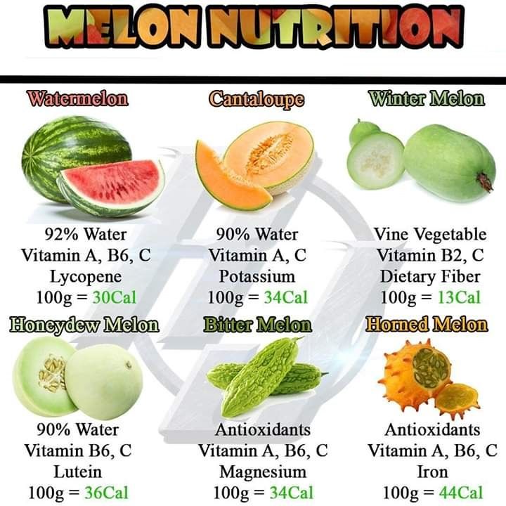 Manfaat buah melon cemilan sehat dengan beragam nutrisi