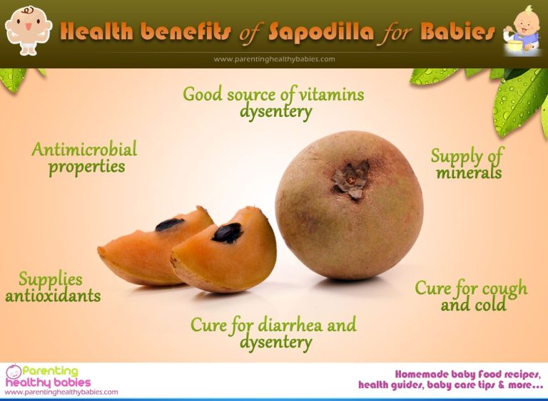 Sapota sapodilla chiku chikoo benefits chickoo diseases pests guide health tree farming control fruit methods grafting climates growing dry hot