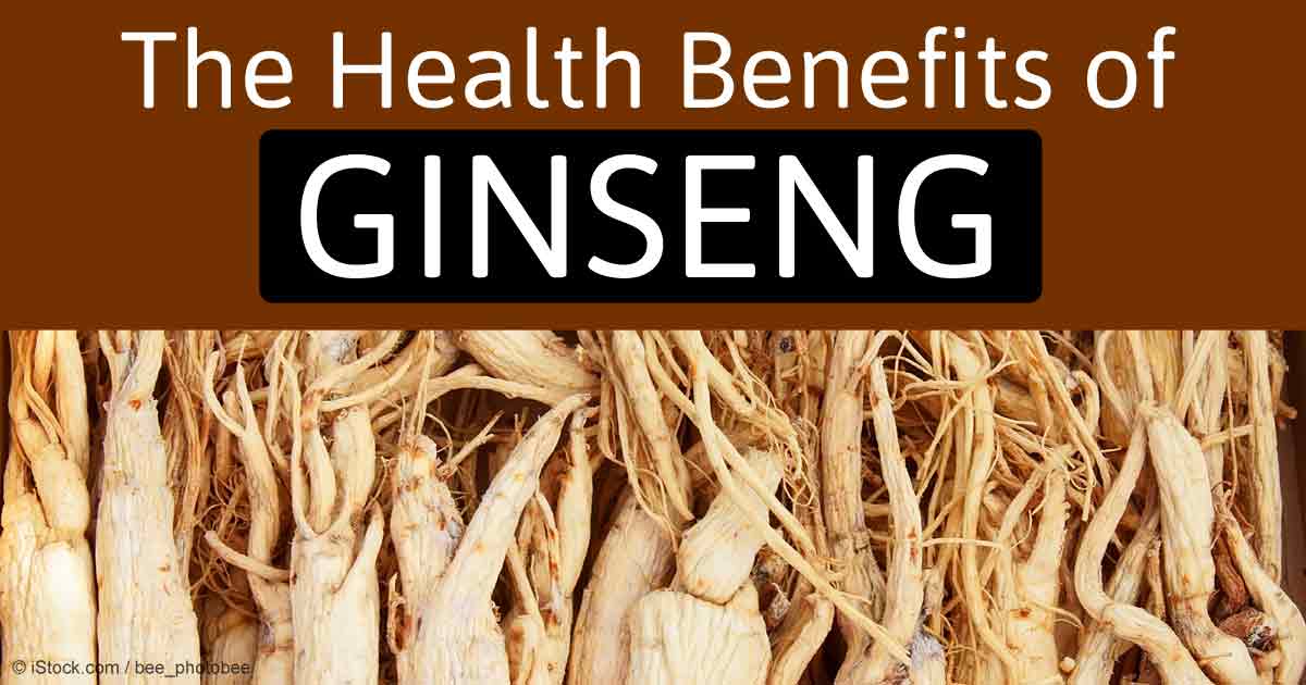 Manfaat ginseng dalam menjaga daya tahan tubuh