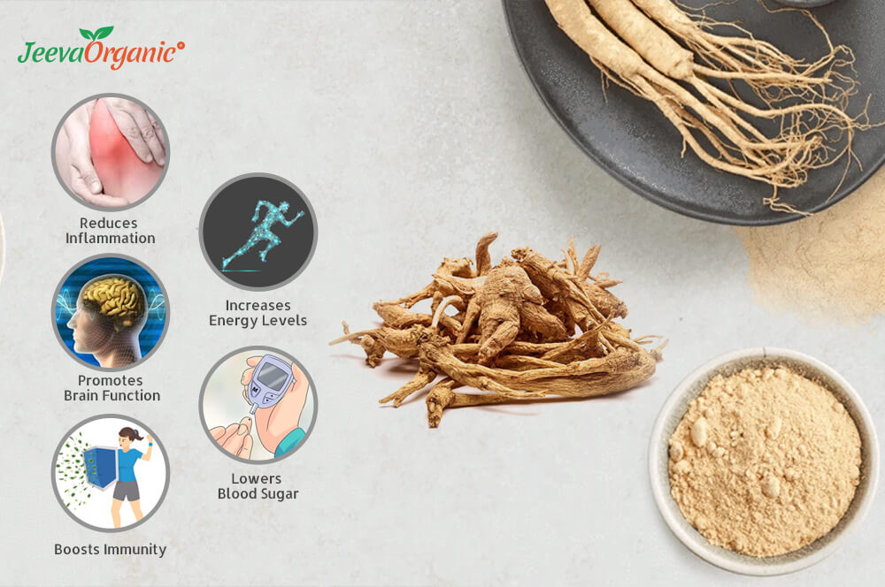 Ginseng benefits health infographic system immune