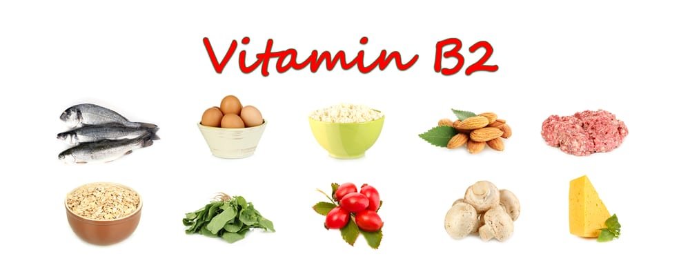 Ketahui sumber terbaik dan manfaat vitamin b2