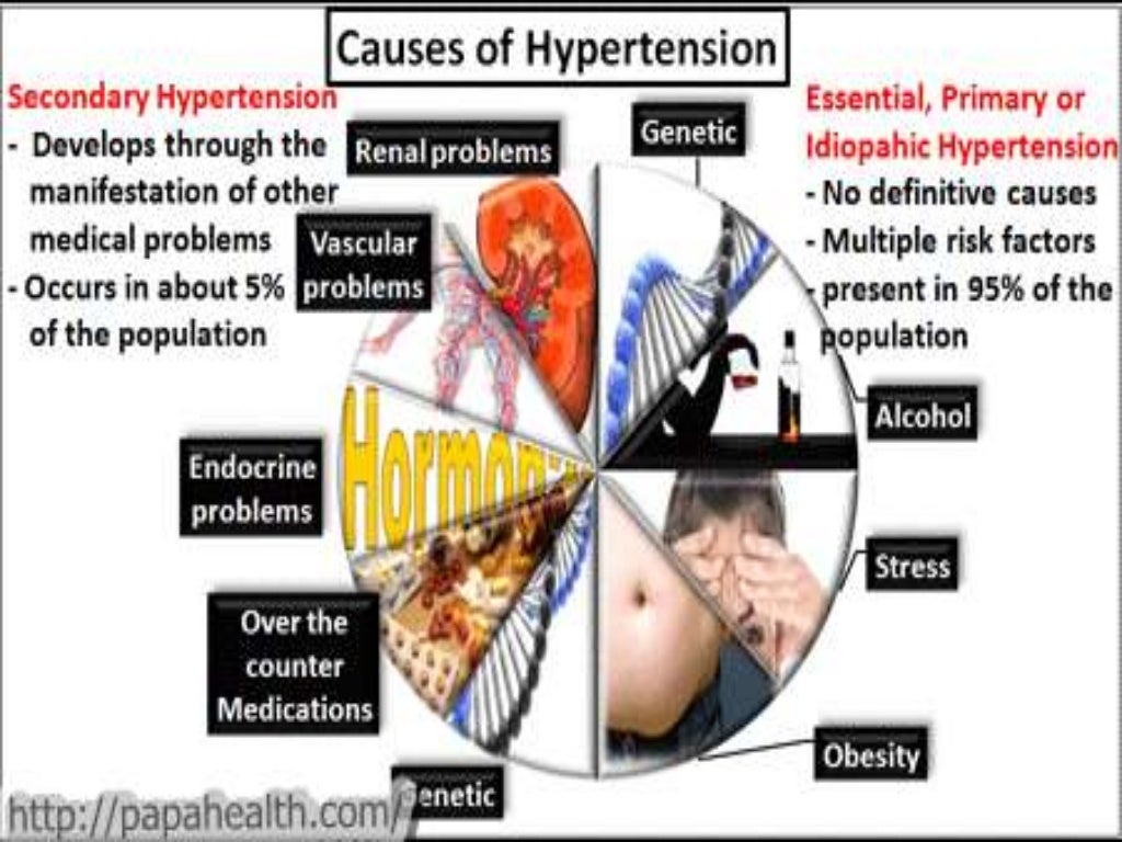 Hypertension infographic understanding heart health