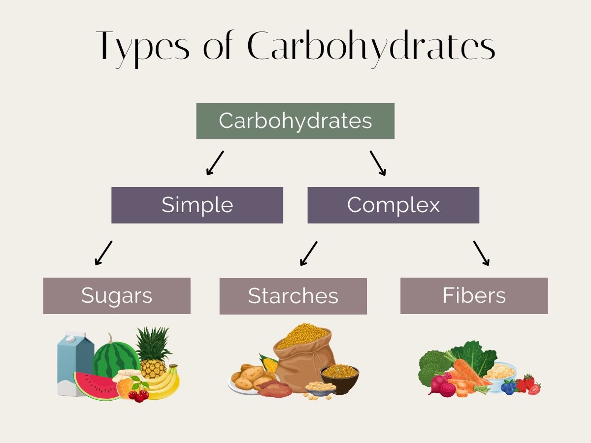 Carbohydrates diet important examples essential abundant