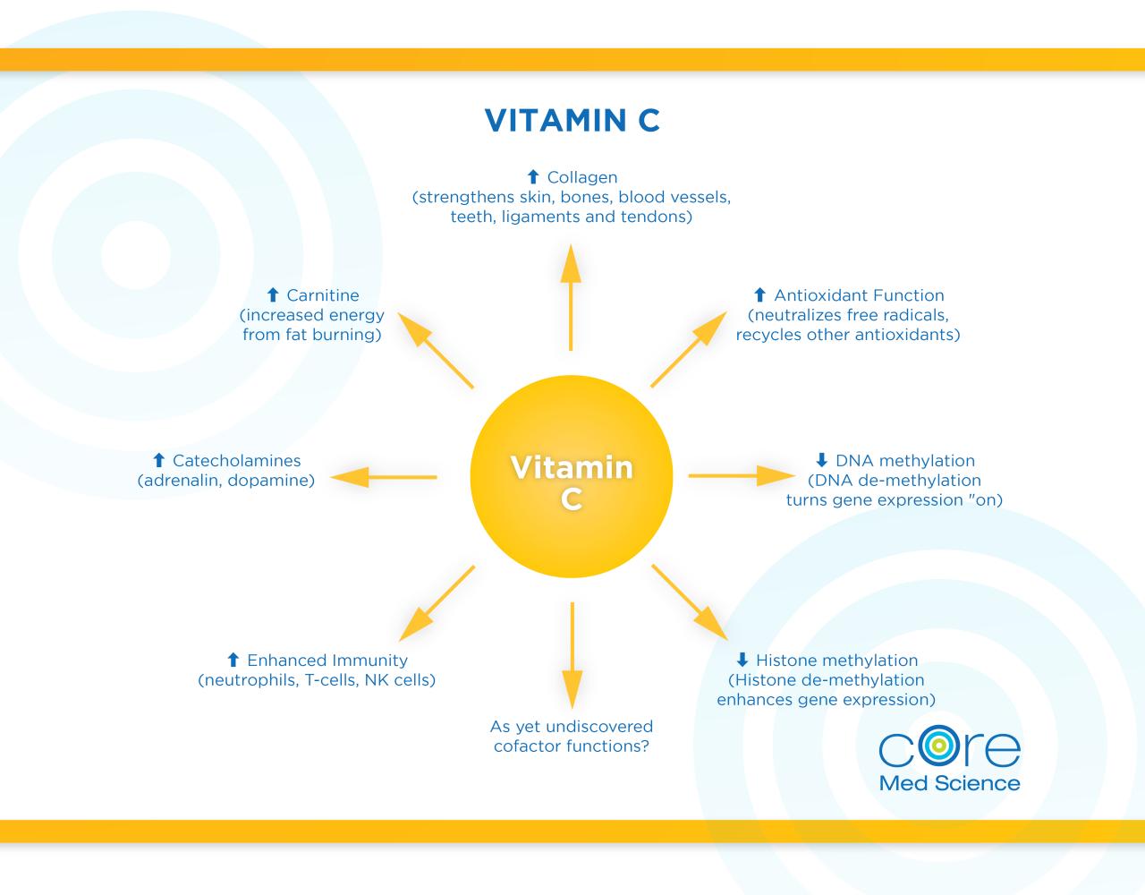 Pentingnya peran vitamin c untuk anak