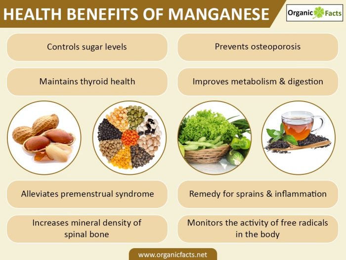 Pentingnya manganese untuk kesehatan tubuh manusia