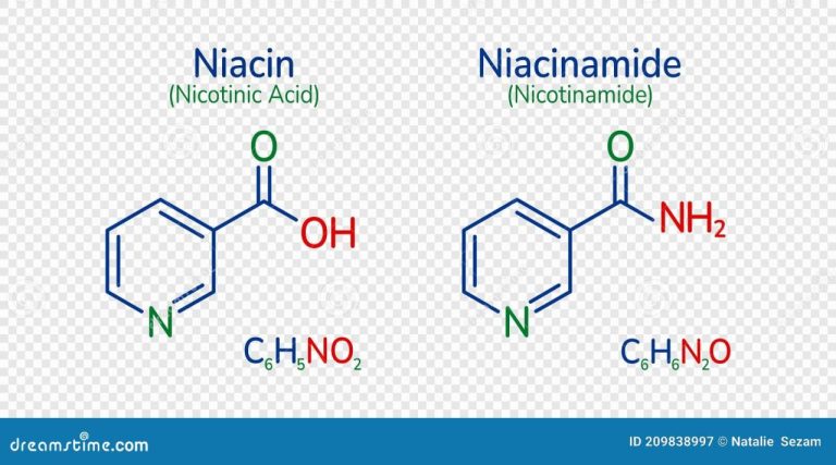 Mengenal nicotinamide bentuk aktif dari vitamin b3 niacin