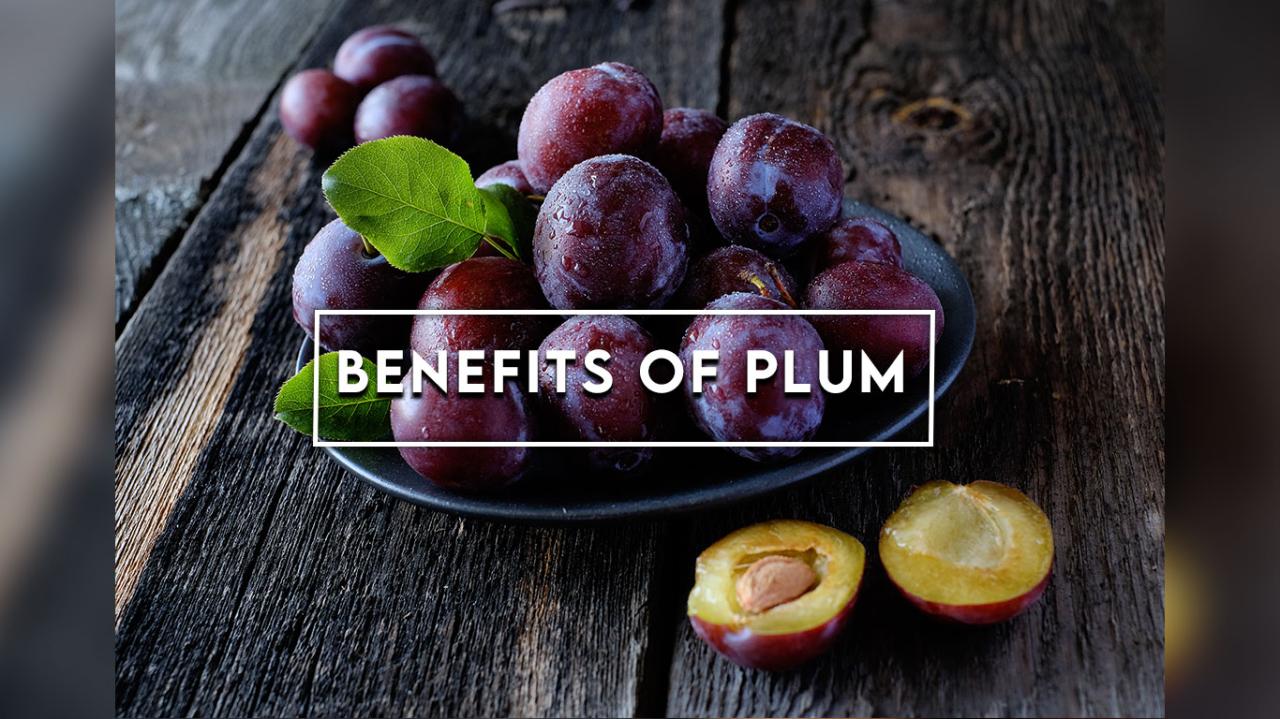 Plums plum fruit prunus fruits health benefits tree domestica blue real