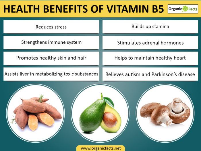 Vitamin b5 manfaat kebutuhan serta sumber terbaiknya