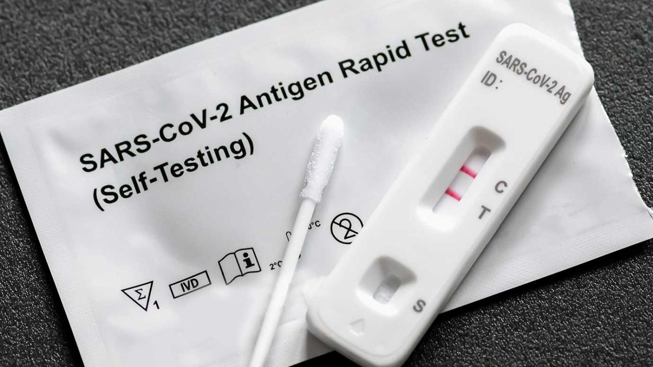 Termasuk tes cepat apa itu rapid antigen test