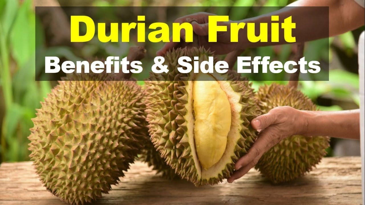 Manfaat buah durian dan efek sampingnya