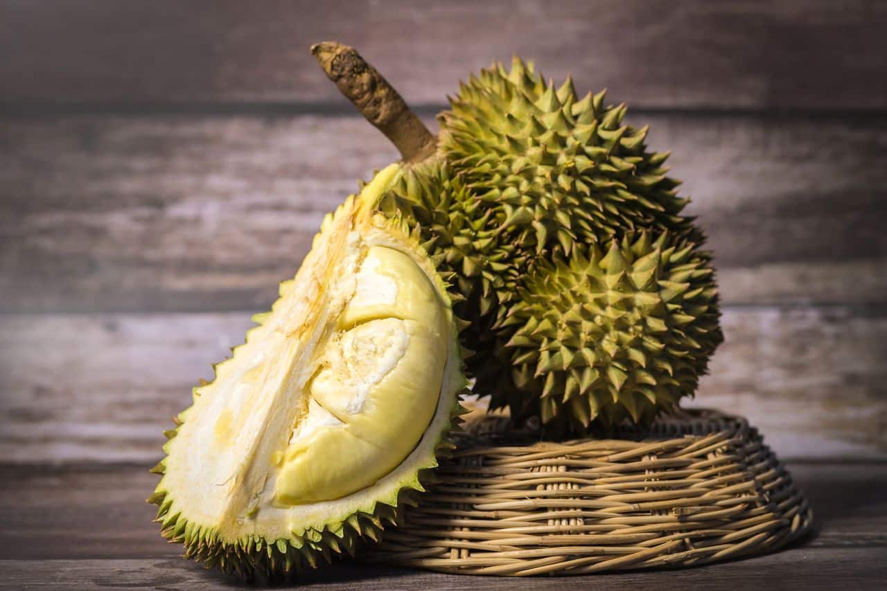 Manfaat buah durian dan efek sampingnya